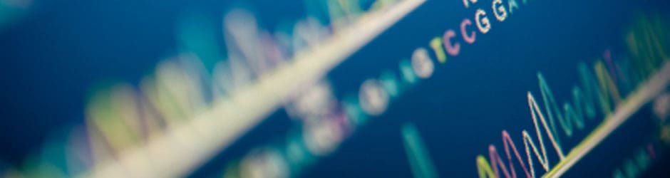 Synnott Lawline - Fatal Injury Claims